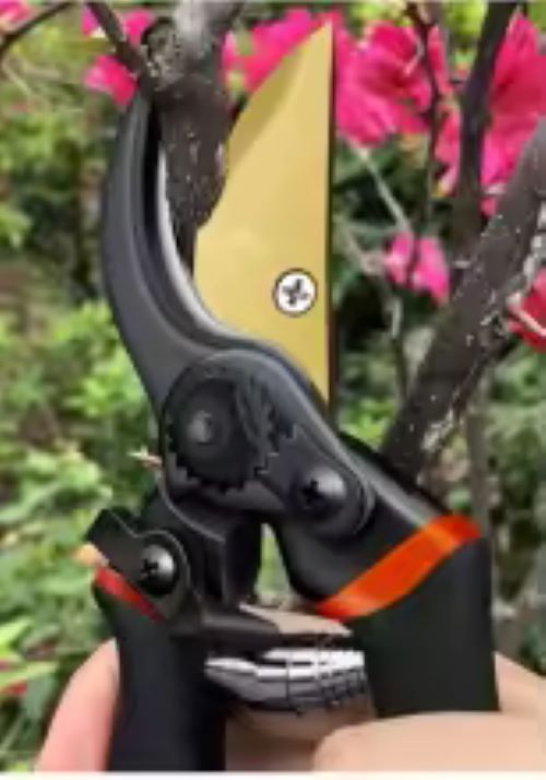 Pruning shears