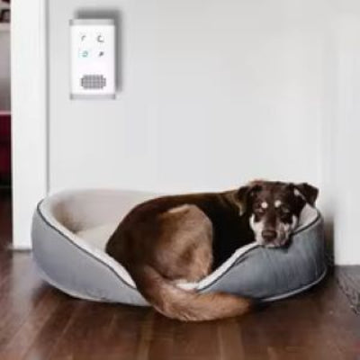 Mini Plug-in Air Purifier