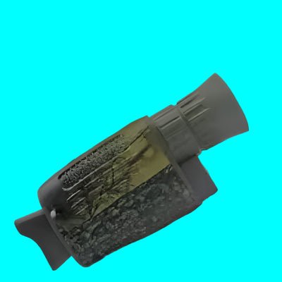 Thermography (Thermal Imaging)