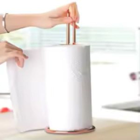 Stainless Steel Paper Towel Holder