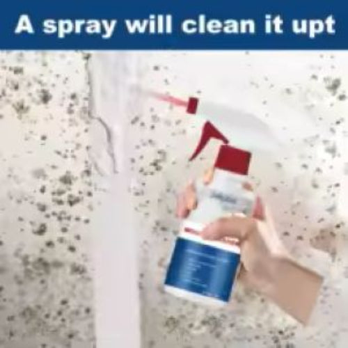 Anti-mold preparation