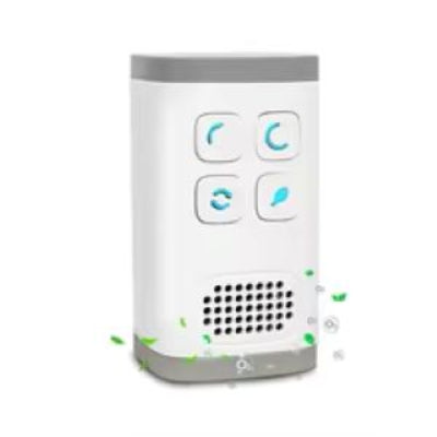 Mini Plug-in Air Purifier