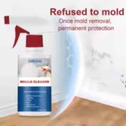 Anti-mold preparation