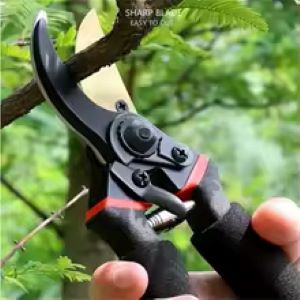 Pruning shears
