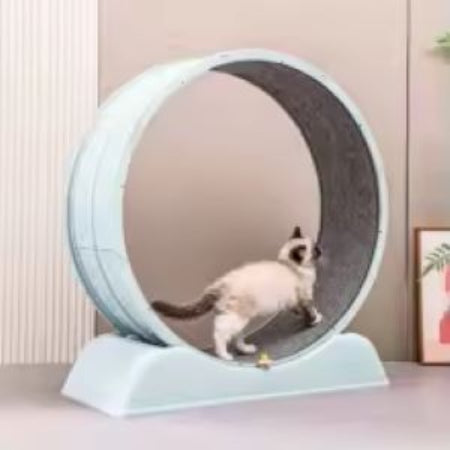 Silent Cat Treadmill
